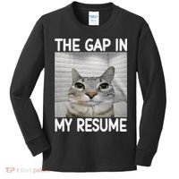The Gap In My Resume Funny Cat Dank Meme Kids Long Sleeve Shirt thumb 0