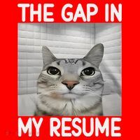 The Gap In My Resume Funny Cat Dank Meme Santa Hat thumb 1