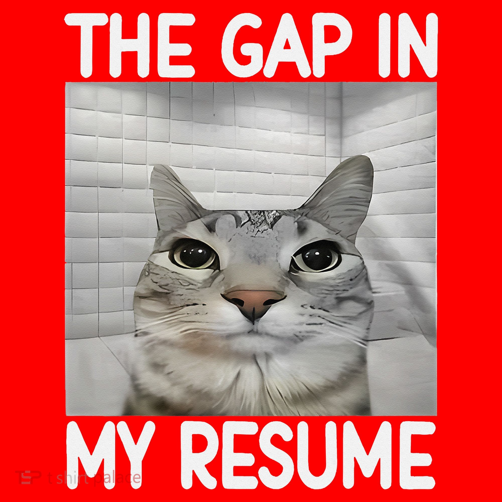 The Gap In My Resume Funny Cat Dank Meme Santa Hat