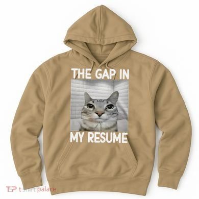 The Gap In My Resume Funny Cat Dank Meme Hoodie