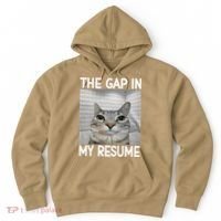 The Gap In My Resume Funny Cat Dank Meme Hoodie thumb 0