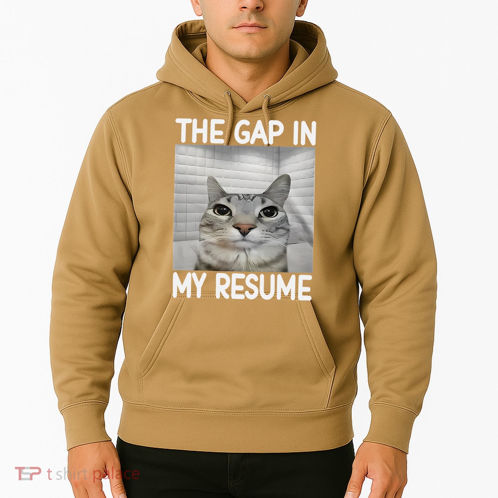 The Gap In My Resume Funny Cat Dank Meme Hoodie