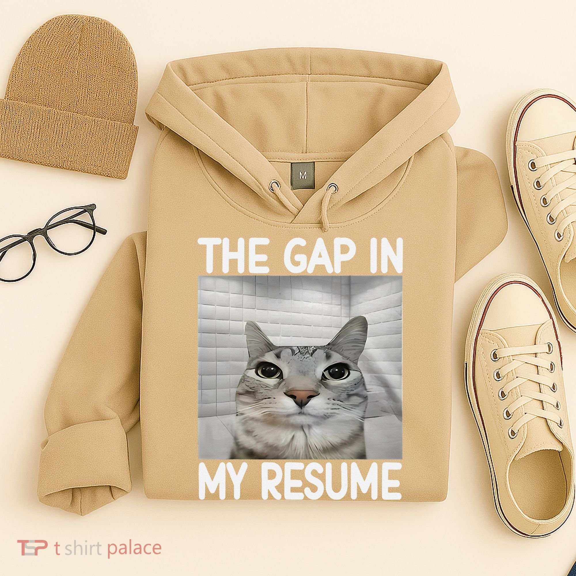 The Gap In My Resume Funny Cat Dank Meme Hoodie