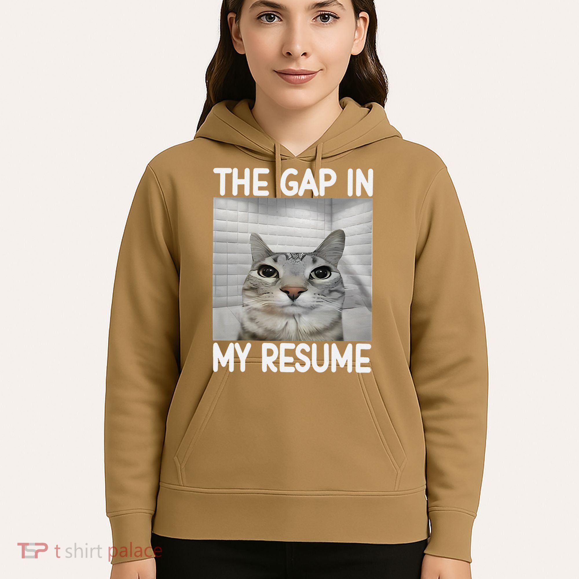 The Gap In My Resume Funny Cat Dank Meme Hoodie