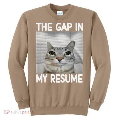 The Gap In My Resume Funny Cat Dank Meme Sweatshirt