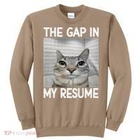 The Gap In My Resume Funny Cat Dank Meme Sweatshirt thumb 0