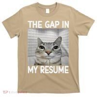 The Gap In My Resume Funny Cat Dank Meme T-Shirt thumb 0