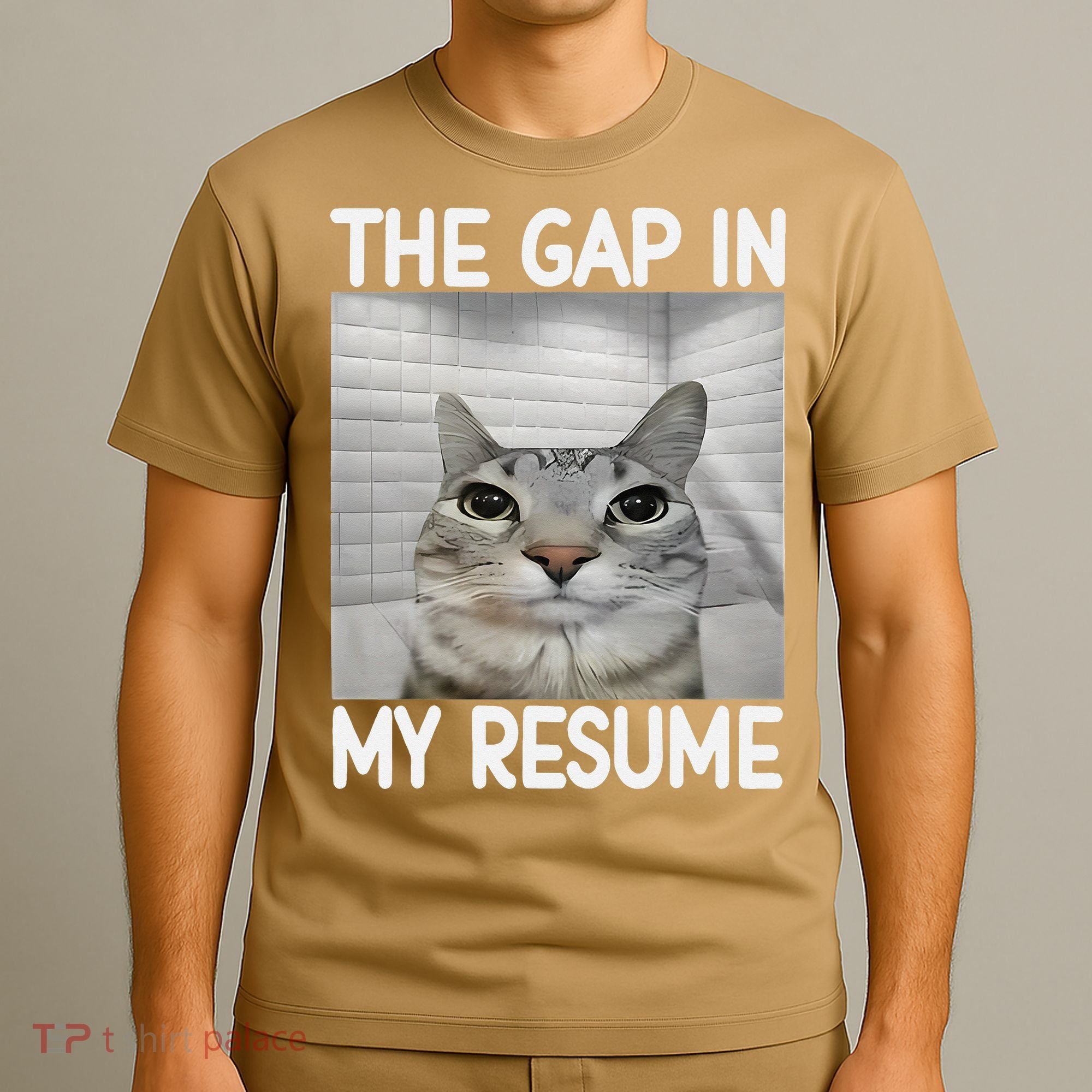 The Gap In My Resume Funny Cat Dank Meme T-Shirt