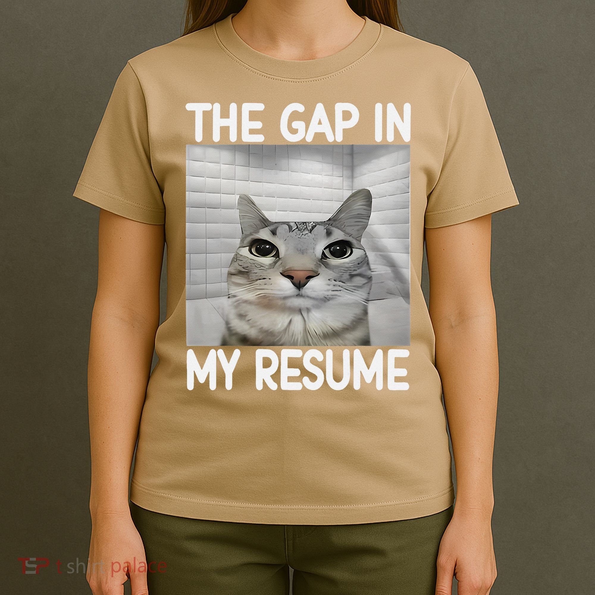 The Gap In My Resume Funny Cat Dank Meme T-Shirt