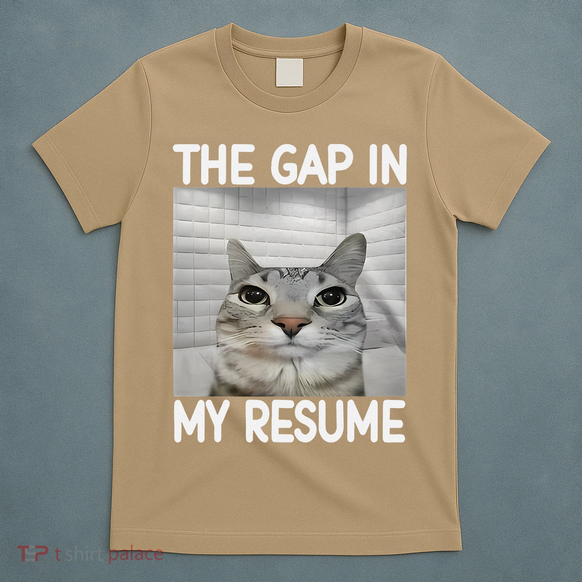 The Gap In My Resume Funny Cat Dank Meme T-Shirt