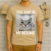 The Gap In My Resume Funny Cat Dank Meme T-Shirt thumb 6