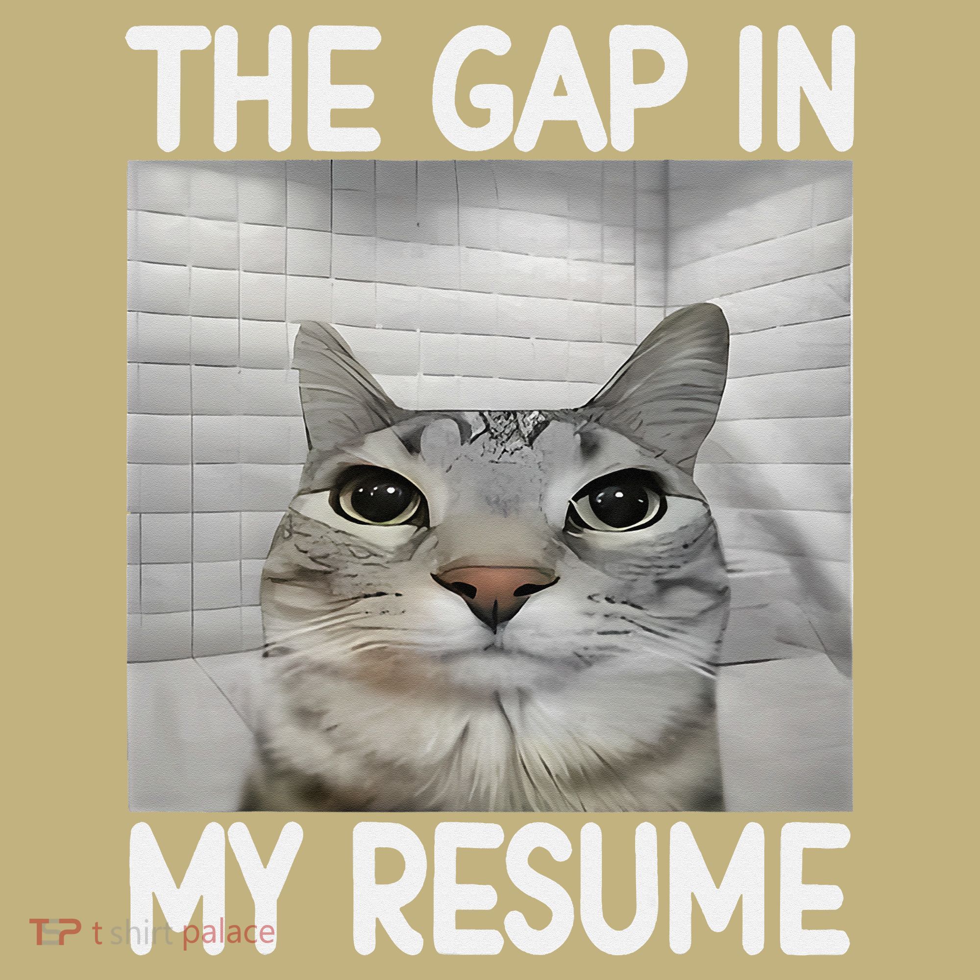 The Gap In My Resume Funny Cat Dank Meme T-Shirt