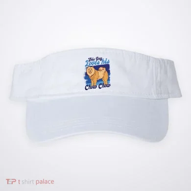Visor