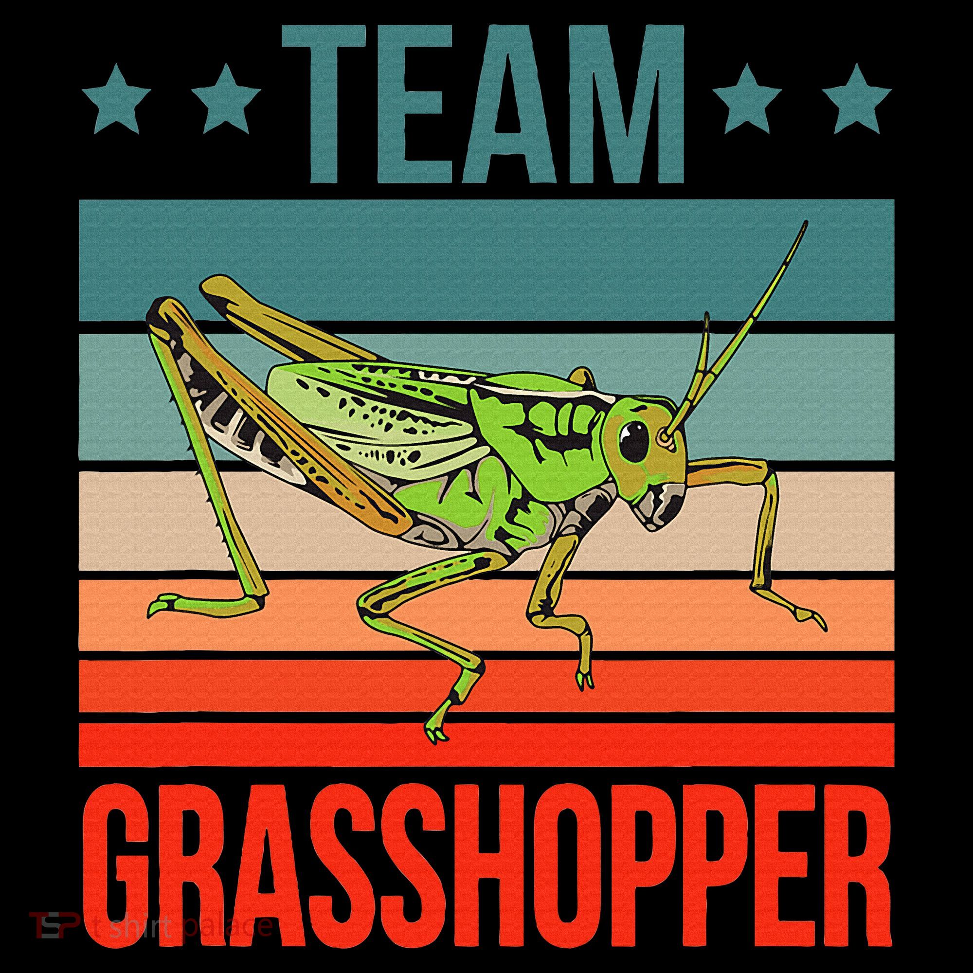 Team Grasshopper Locust Entomologist Insect Grasshopper Women's Hoodie