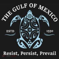 The Gulf Of Mexico Resist Persist Prevail Sweatshirt thumb 3