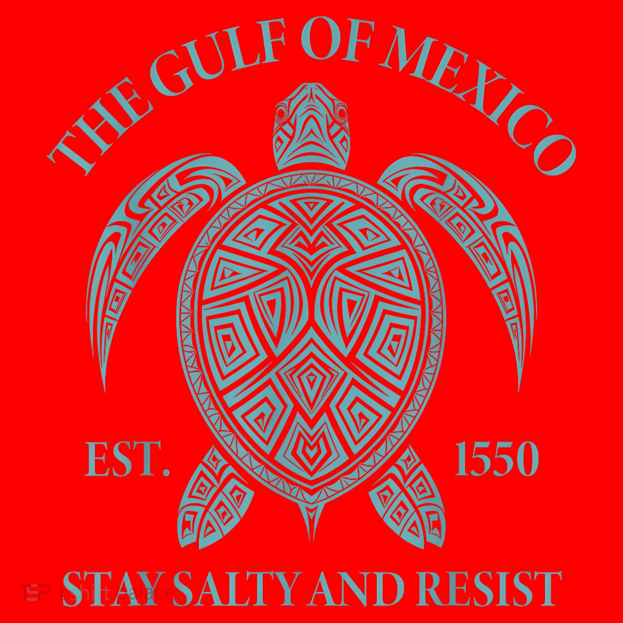 the Gulf of Mexico turtle Santa Hat