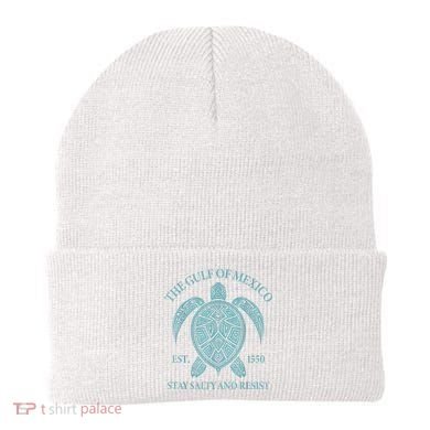 the Gulf of Mexico turtle Beanie