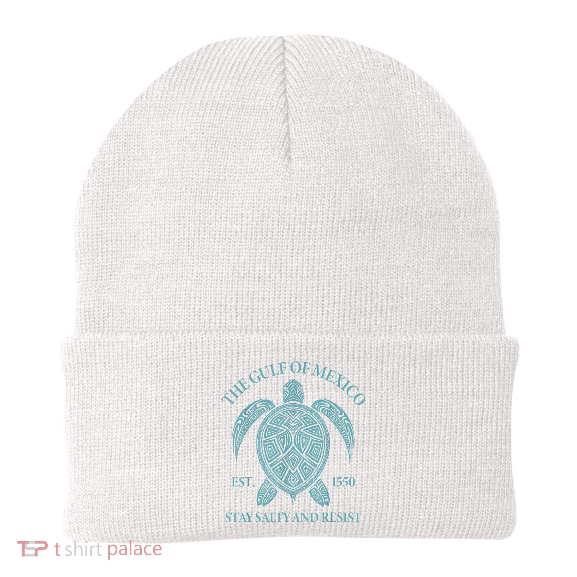 the Gulf of Mexico turtle Beanie