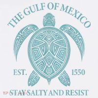 the Gulf of Mexico turtle Women's Hoodie thumb 2