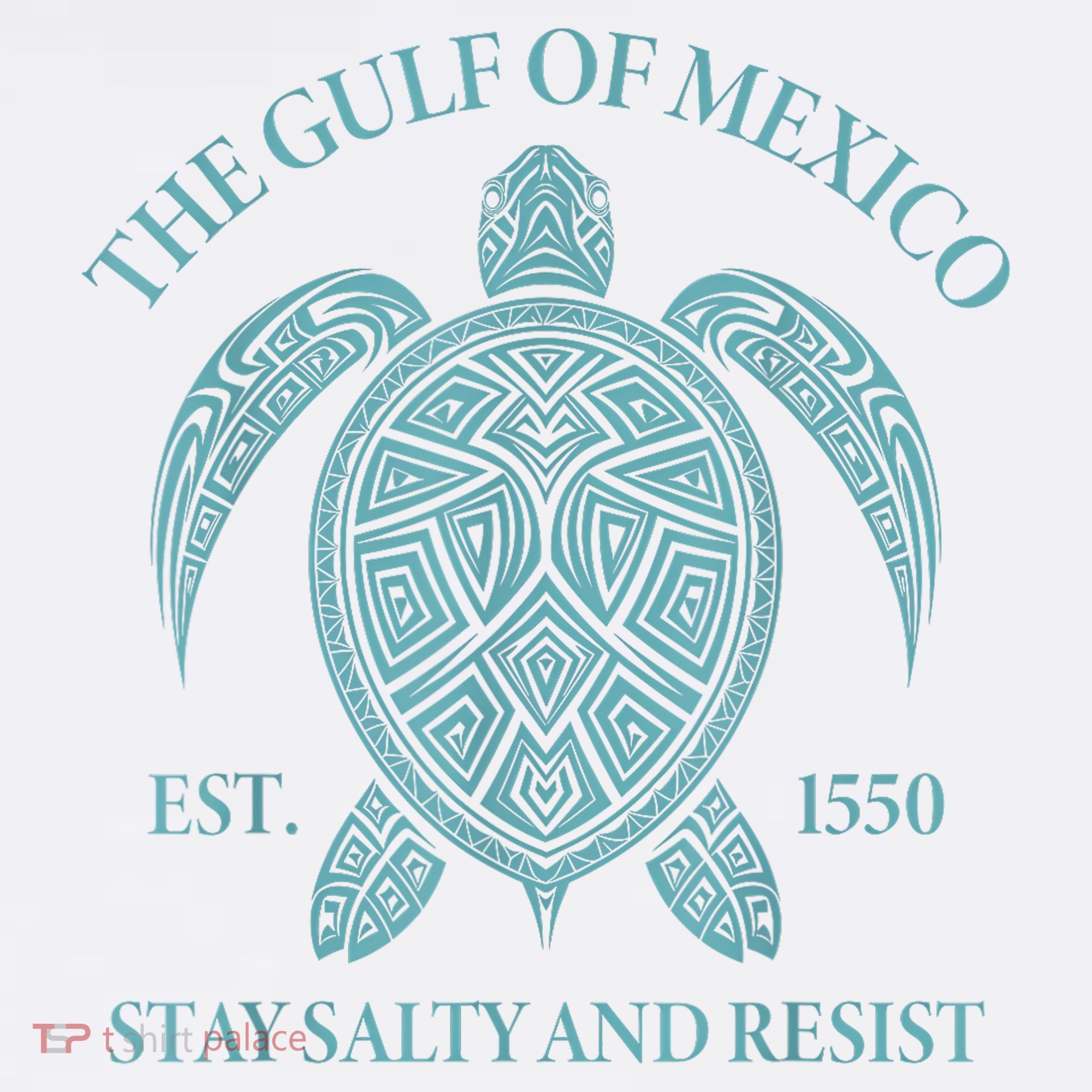 the Gulf of Mexico turtle Women's Tank Top