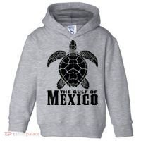 The Gulf Of Mexico Sea Turtle Beach Toddler Hoodie thumb 0