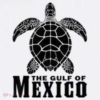 The Gulf Of Mexico Sea Turtle Beach Mousepad thumb 1