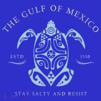 The Gulf Of Mexico Estd 1550 Stay Salty And Resist T-Shirt thumb 7