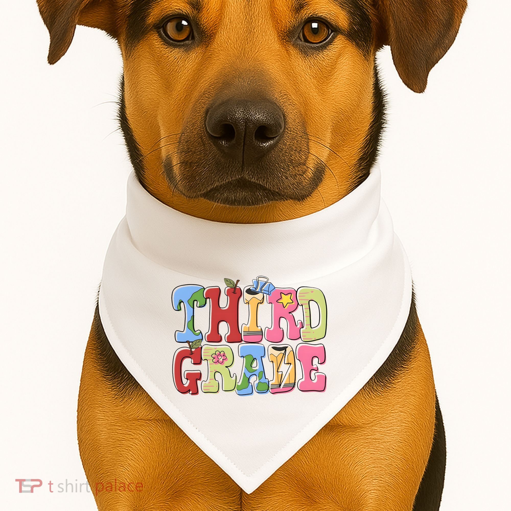 Third Grade Retro Back To School USA-Made Doggie Bandana