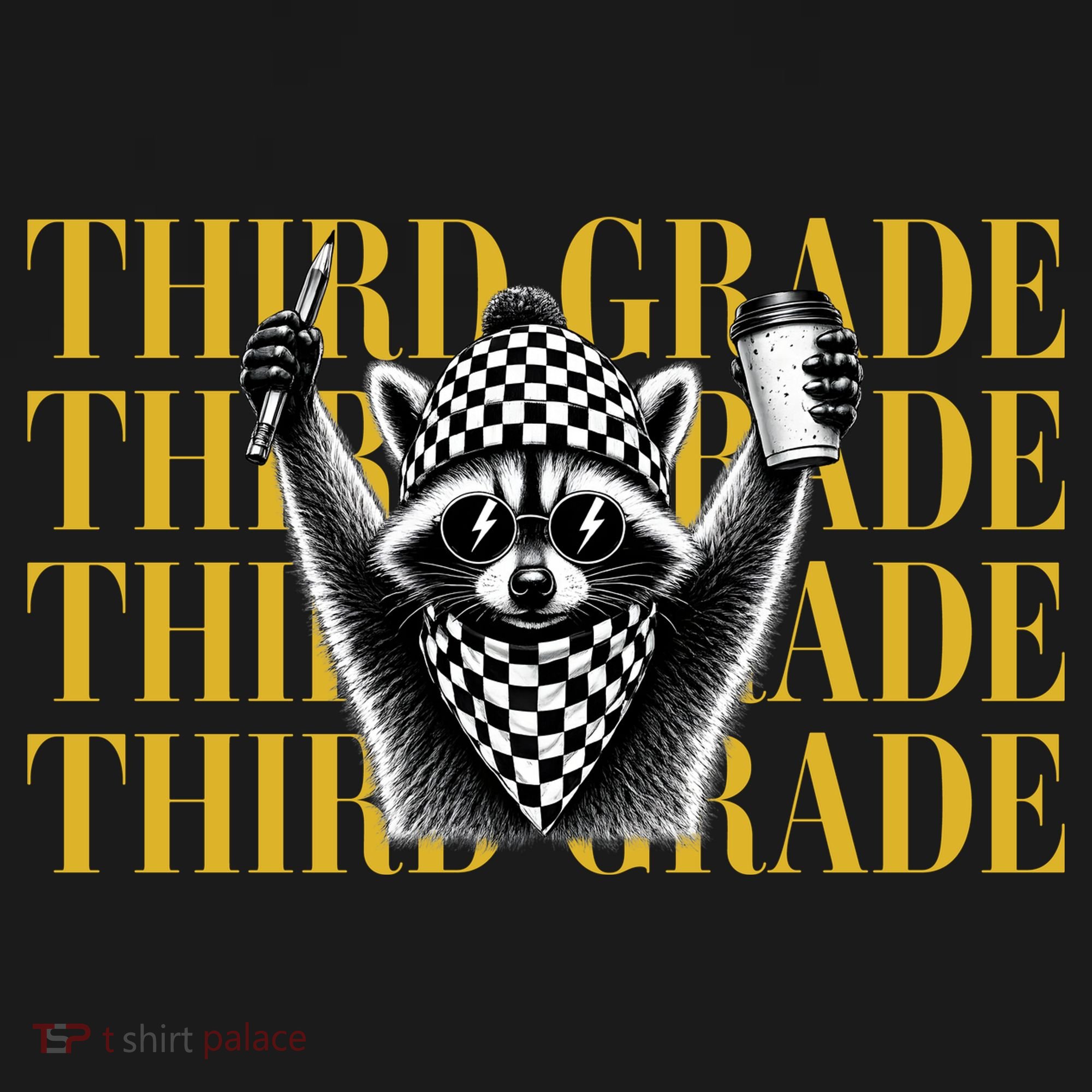Third Grade Raccoon Back To School Ornament