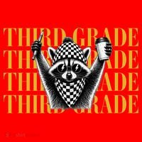 Third Grade Raccoon Back To School Santa Hat thumb 1