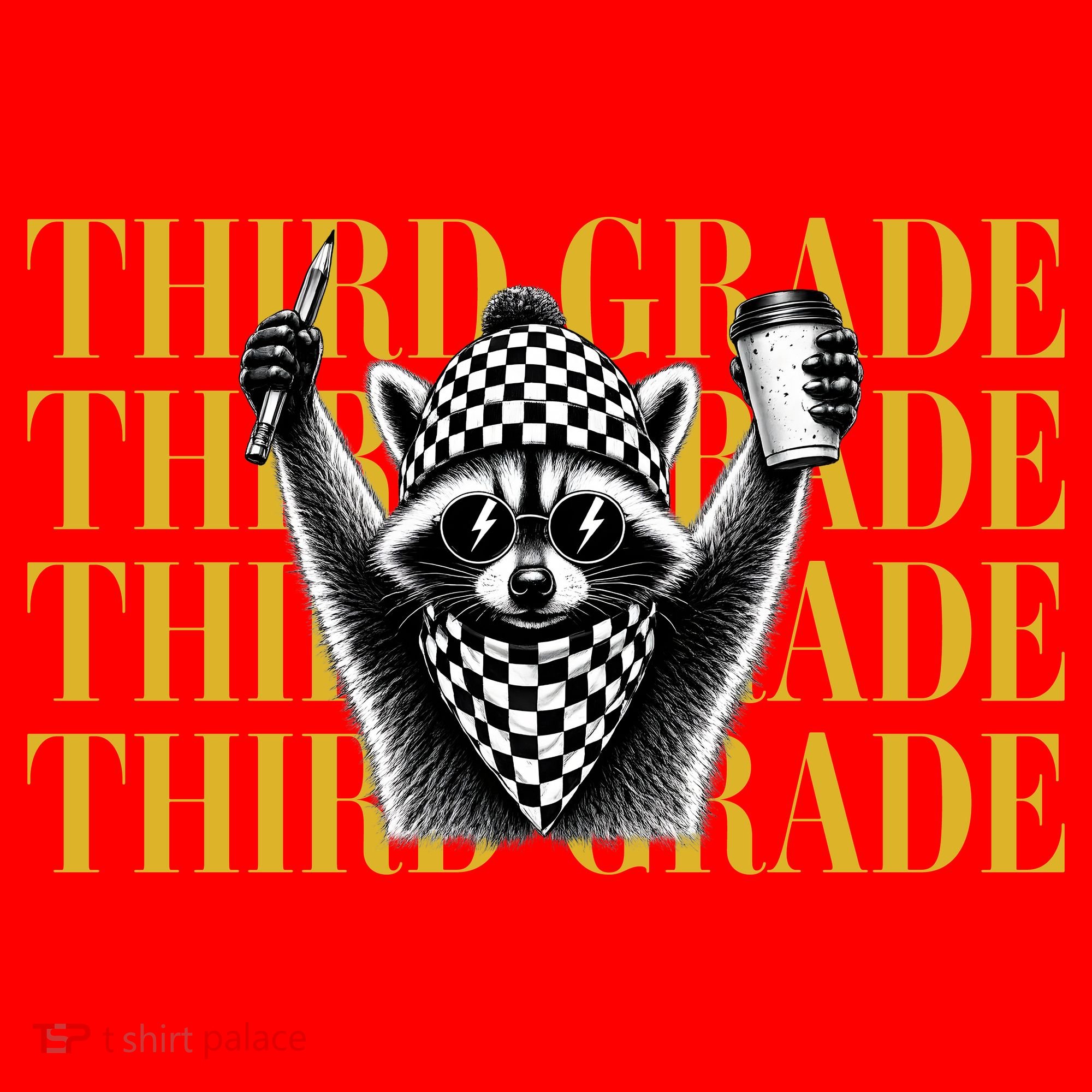 Third Grade Raccoon Back To School Santa Hat