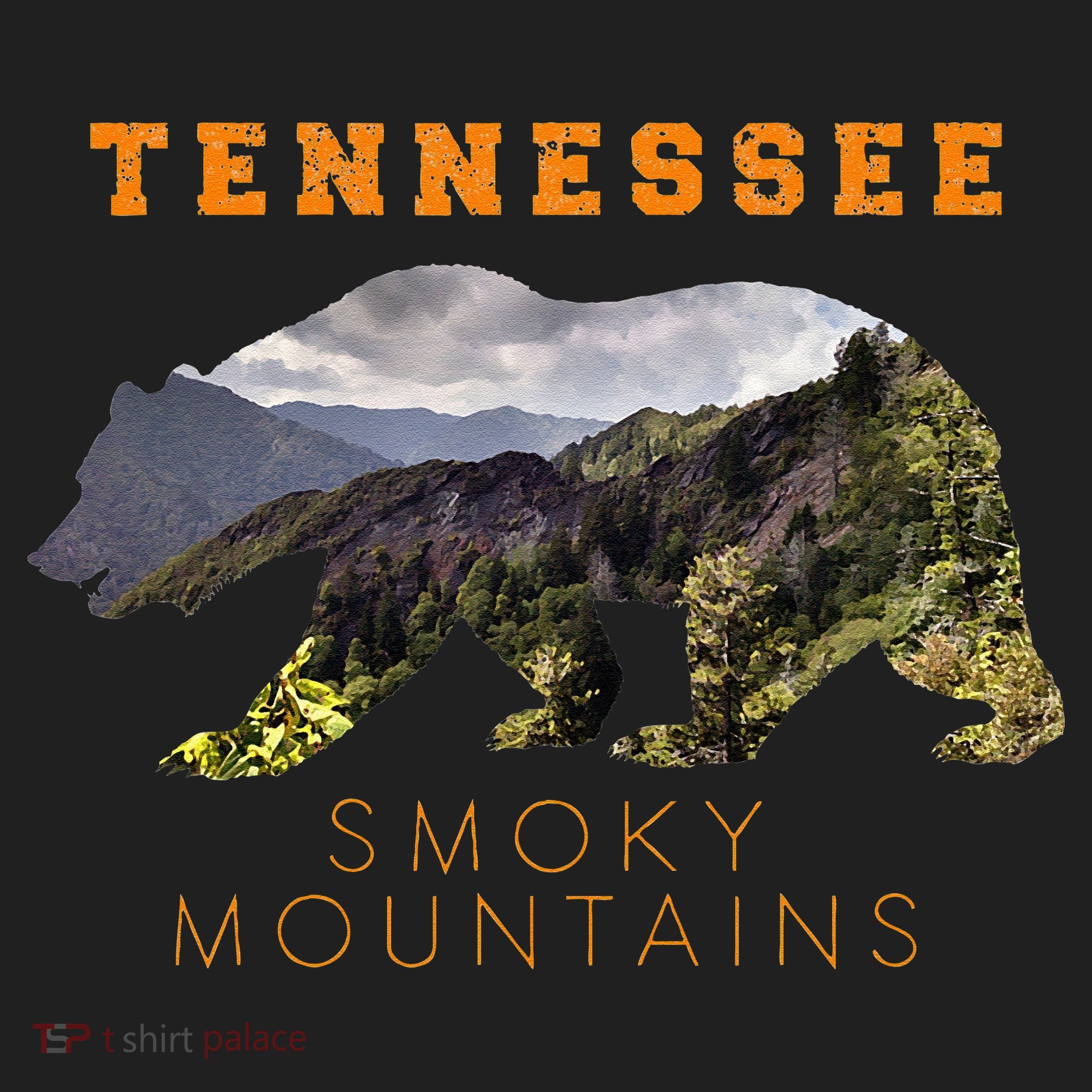Tennessee Great Smoky Mountains Hat