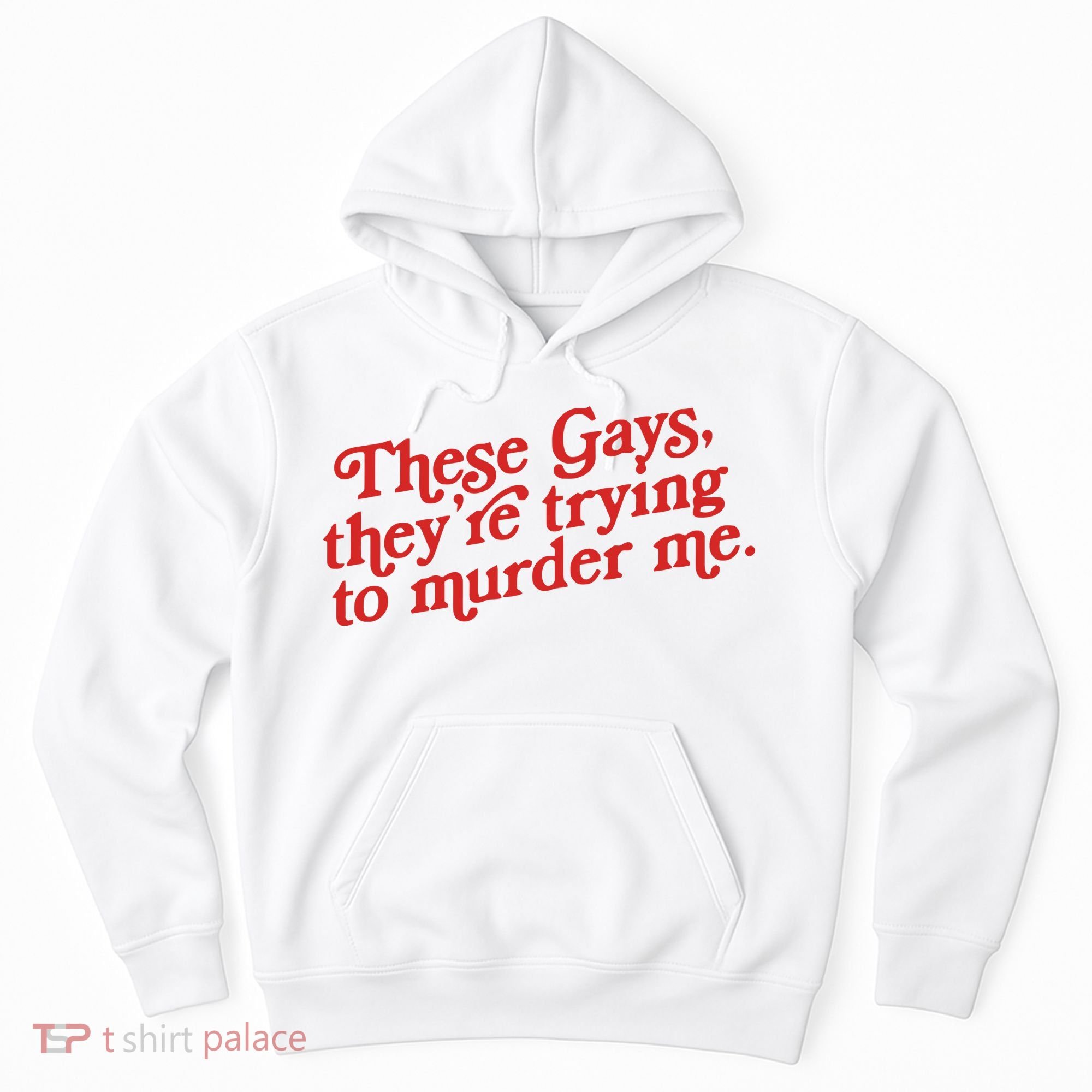 These Gays Trying To Murder Me Hoodie
