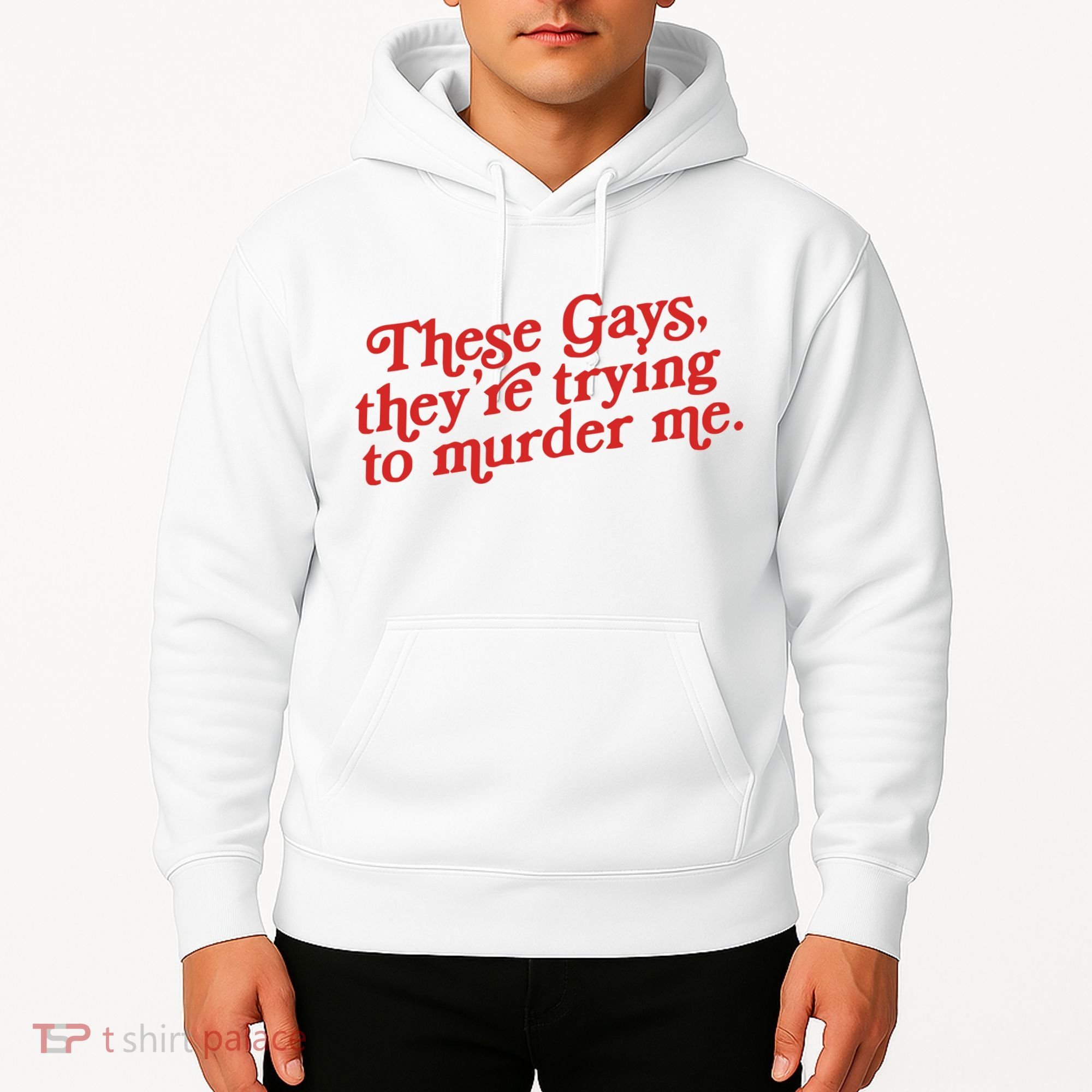 These Gays Trying To Murder Me Hoodie