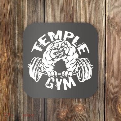Temple Gym Coaster