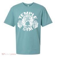 Temple Gym Sueded Cloud Jersey T-Shirt thumb 0