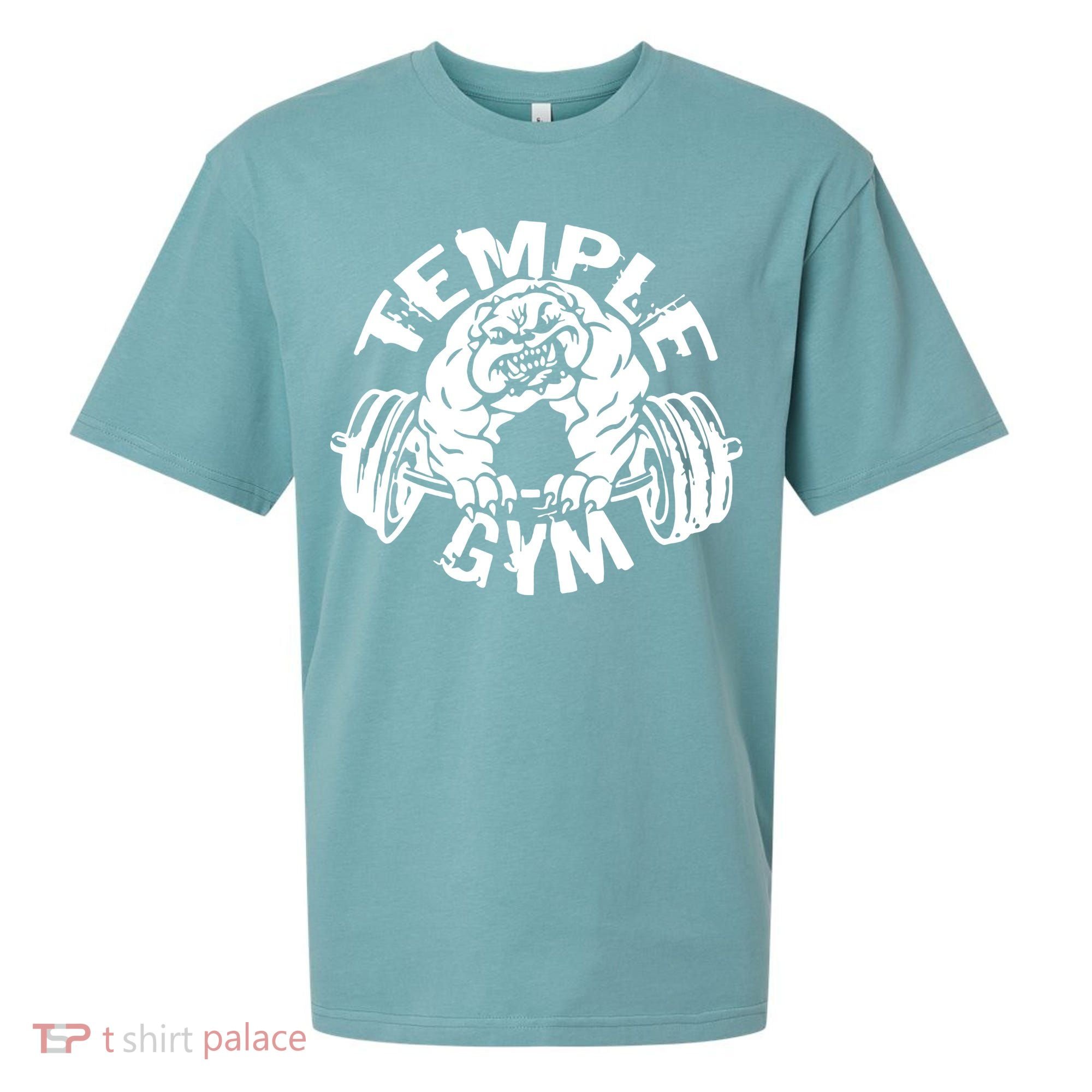 Temple Gym Sueded Cloud Jersey T-Shirt