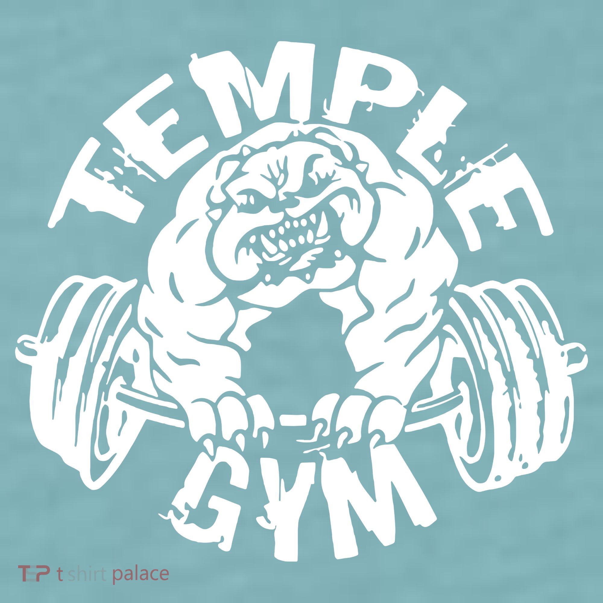 Temple Gym Sueded Cloud Jersey T-Shirt