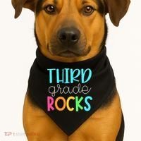 Third Grade Teacher Team - 3rd Grade Rocks USA-Made Doggie Bandana thumb 1