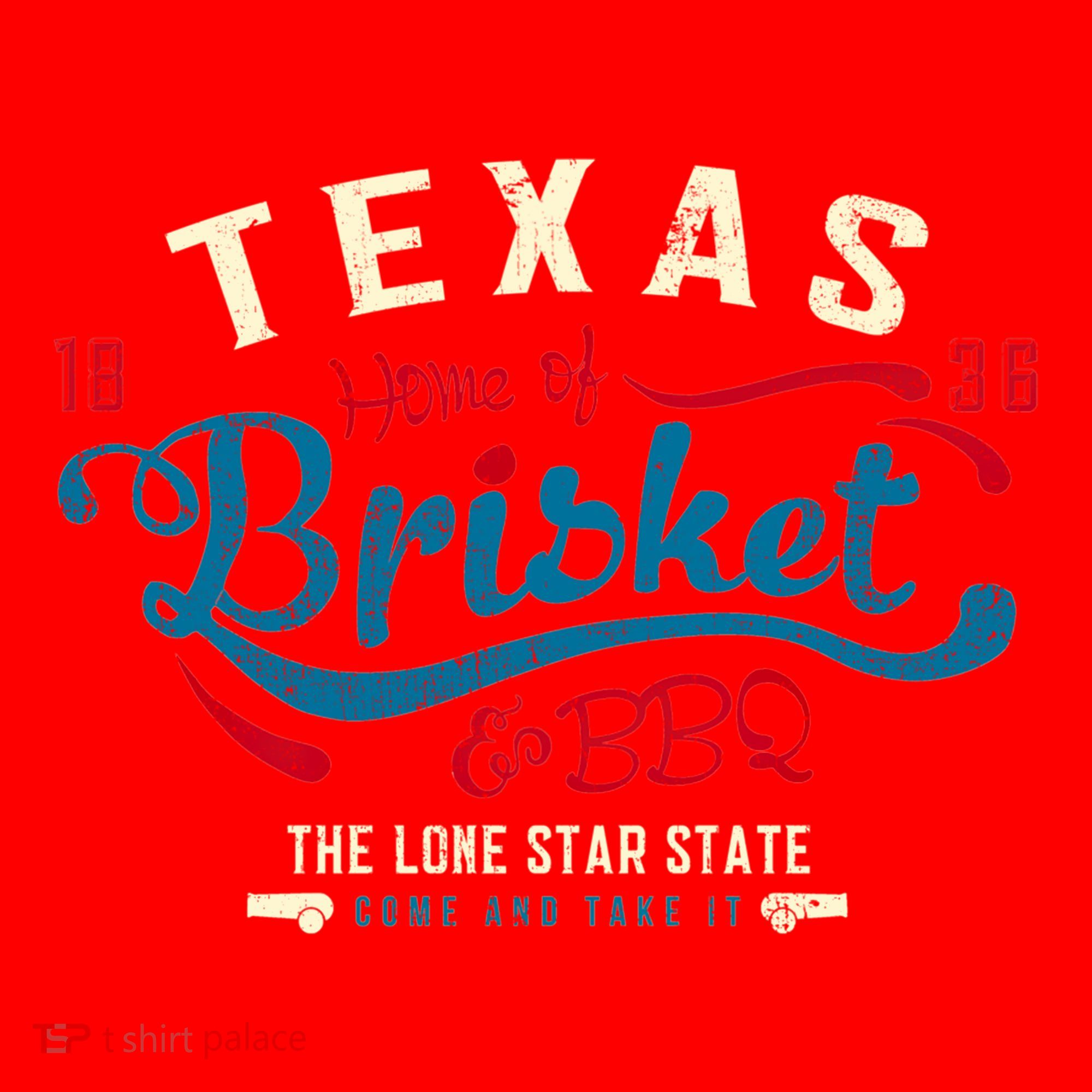 Texan Grillmaster: Texas Bbq Brisket Texas Independence Day Gift Santa Hat