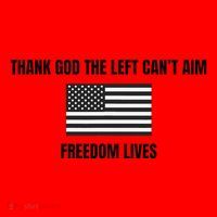 Thank God The Left CanT Aim Freedom Lives Santa Hat thumb 1