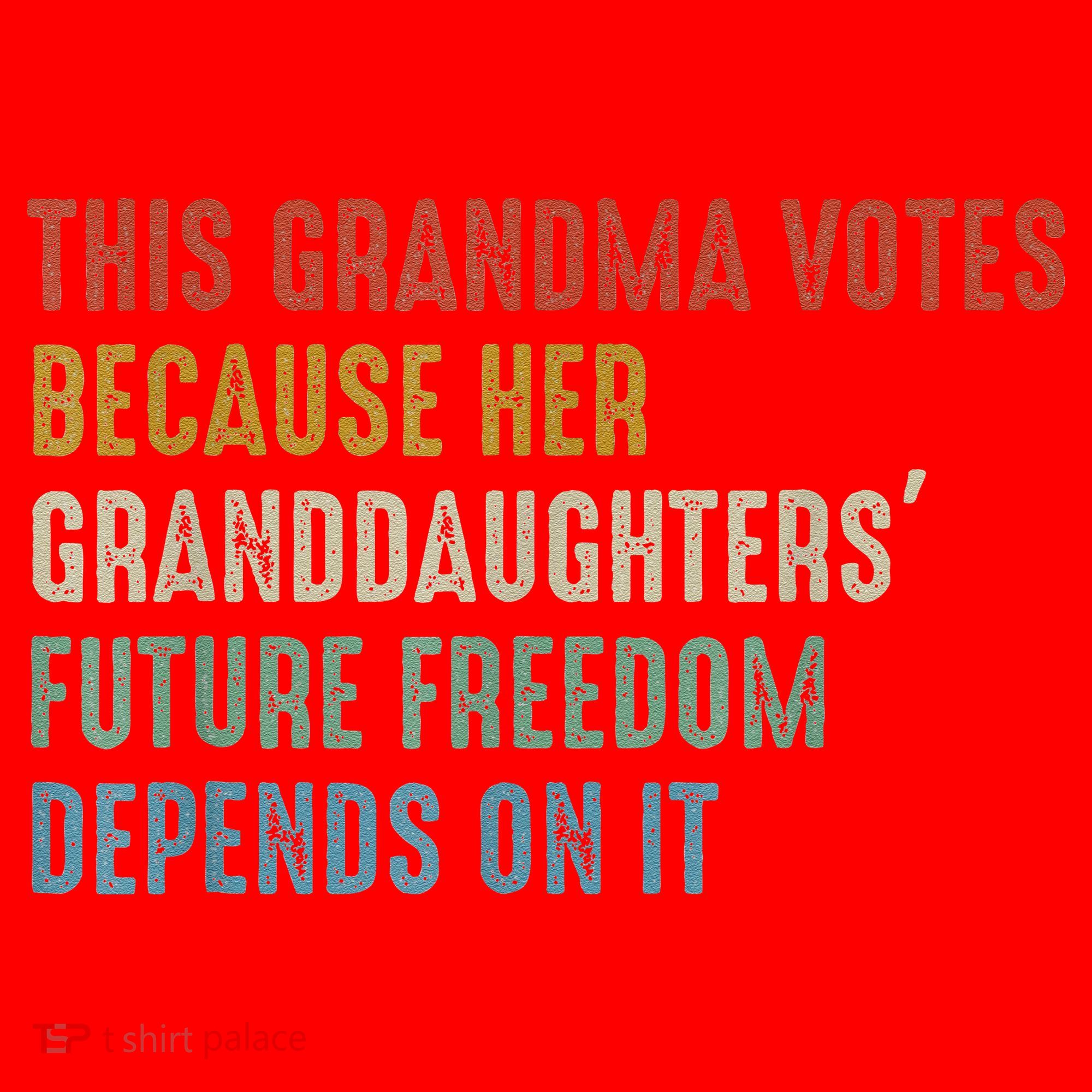 This Grandma Votes Because Her Granddaughters Future Freedom Santa Hat