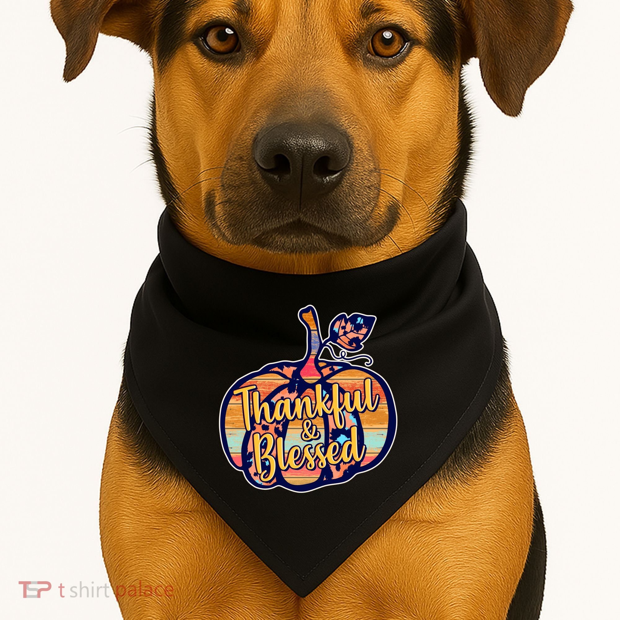 Thankful & Blessed Fashion Pumpkin USA-Made Doggie Bandana