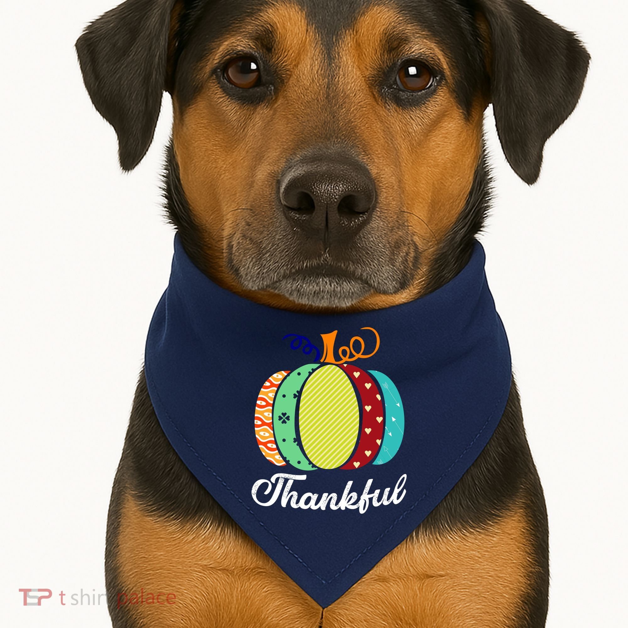 Thankful Floral Pumpkin USA-Made Doggie Bandana
