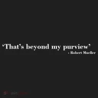 That's Beyond My Purview Robert Mueller Tumbler thumb 3
