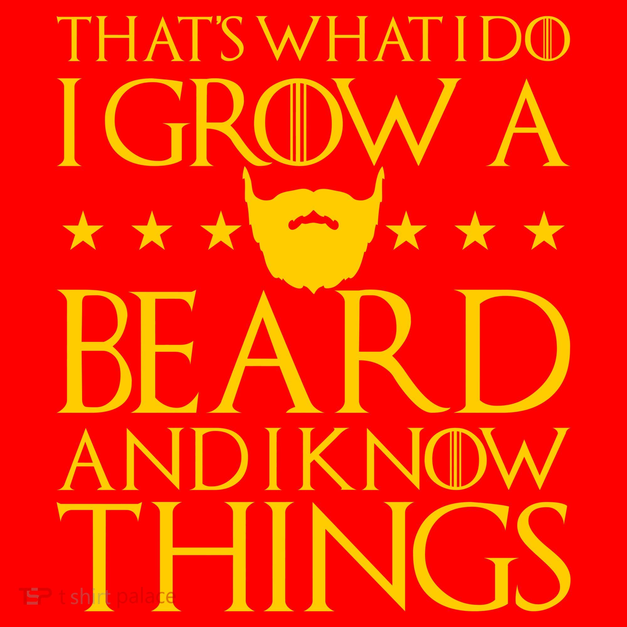 Thats What I Do I Grow A Beard and I Know Things Santa Hat