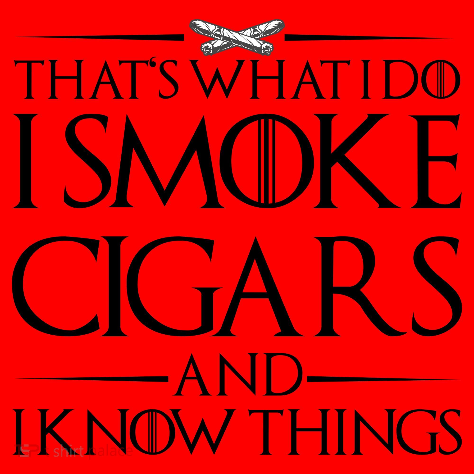 That's What I Do I Smoke Cigars And Know Things Santa Hat