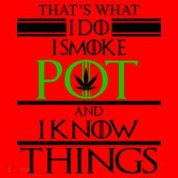 That's What I Do I Smoke Pot And Know Things Santa Hat thumb 1