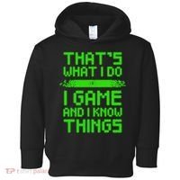 That's What I Do Play Games And I Know Things Toddler Hoodie thumb 0