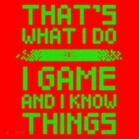 That's What I Do Play Games And I Know Things Santa Hat thumb 1